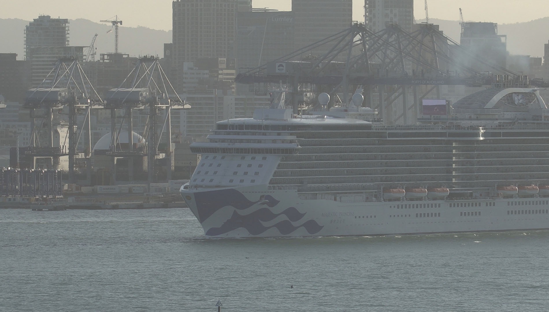 Majestic Princess